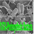 photosynthetic bacteria (feed additives)